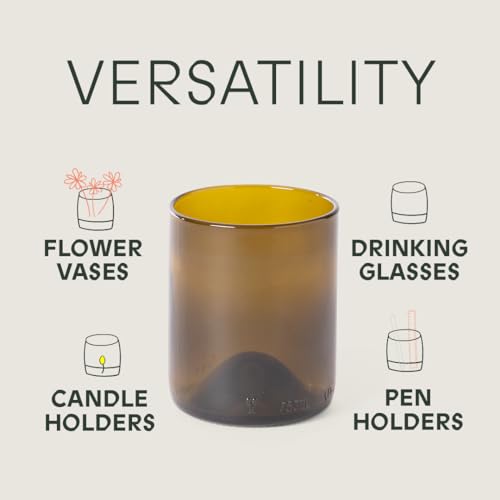 Olive (Set of 6) Drinking Glasses | 250 ML | 8.45 OZ